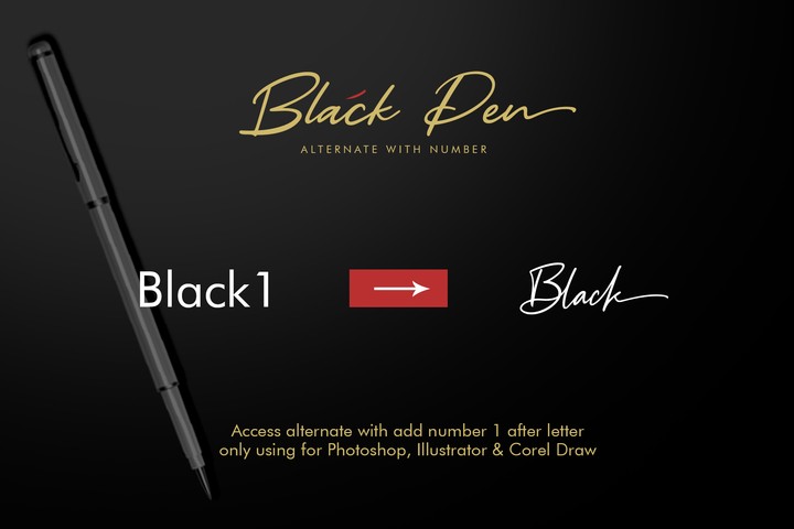 Przykładowa czcionka Black Pen #5